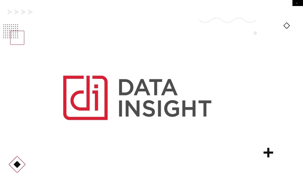 Data Insight - who we are
