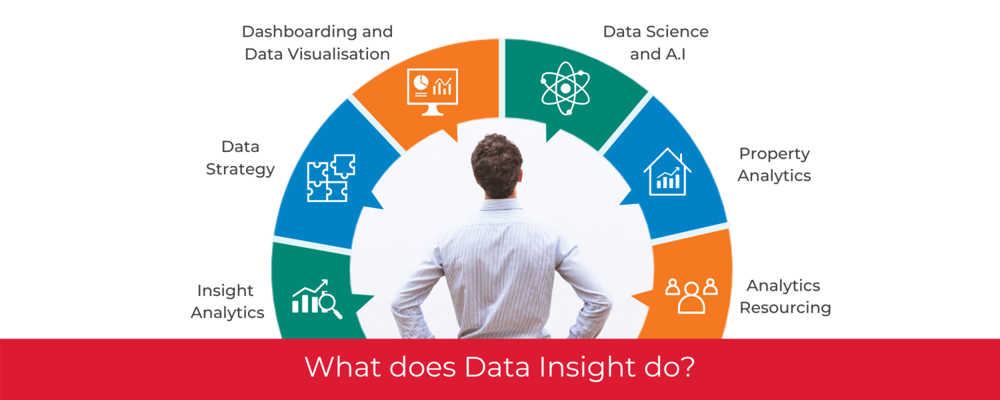 What does Data Insight do?